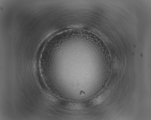 X0000051250351200506241552