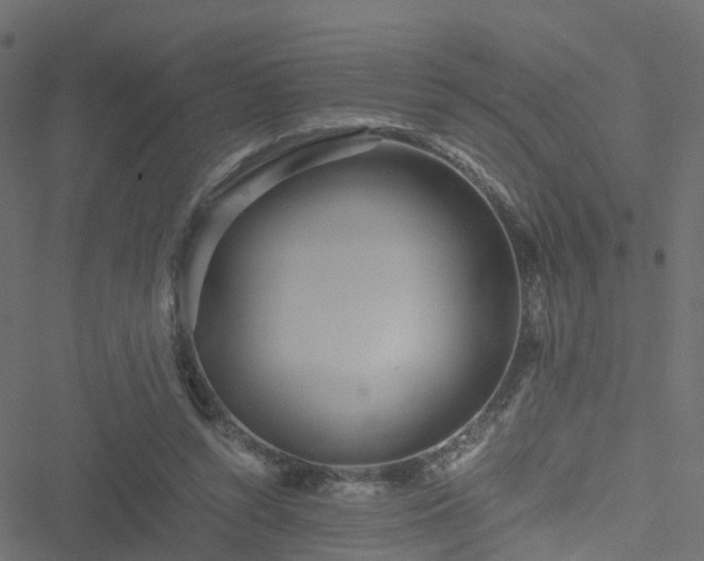 X0000051250352200506241552