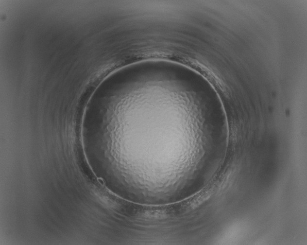 X0000051250353200506241552