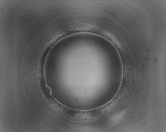 X0000051250354200506241552