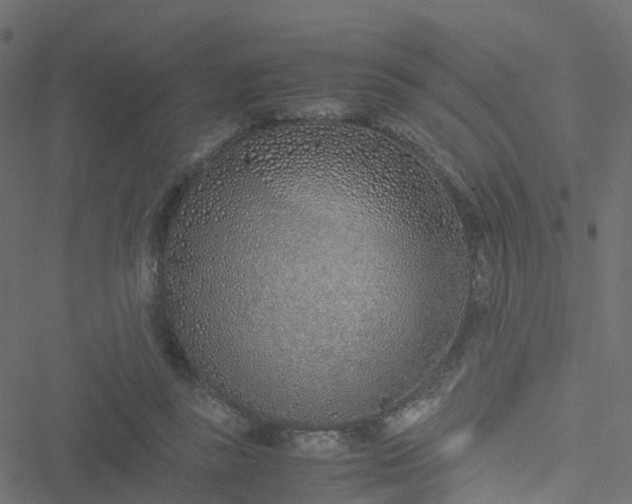 X0000051250355200506241552