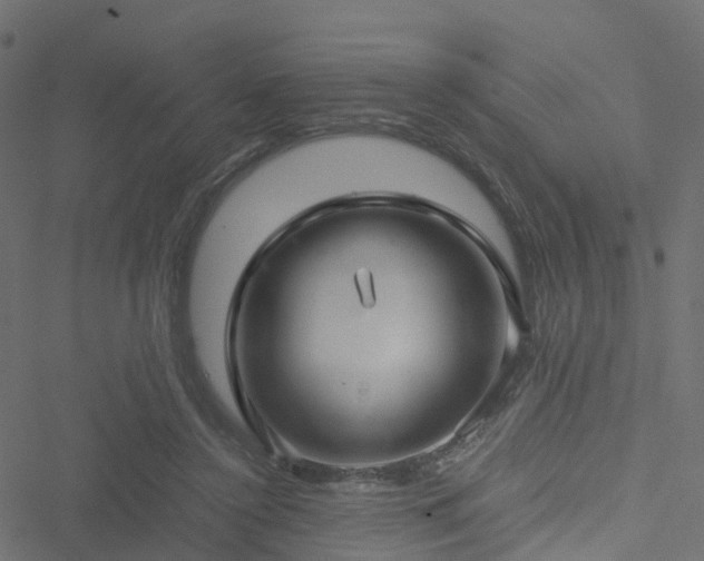 X0000051250356200506241552