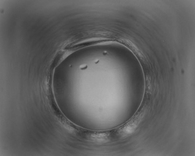 X0000051250357200506241552