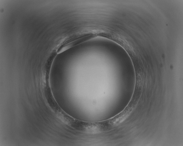 X0000051250358200506241552