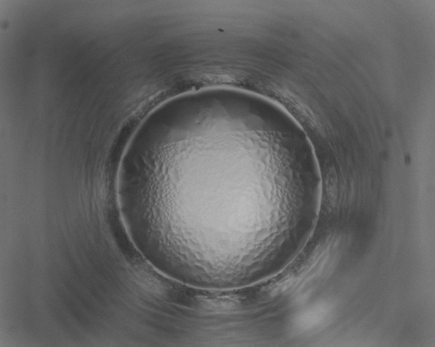 X0000051250359200506241552