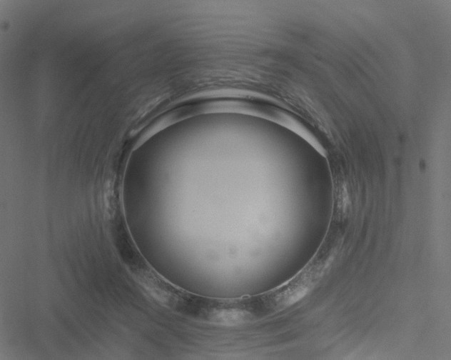 X0000051250360200506241552