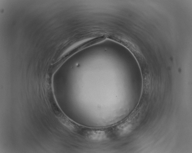 X0000051250361200506241552