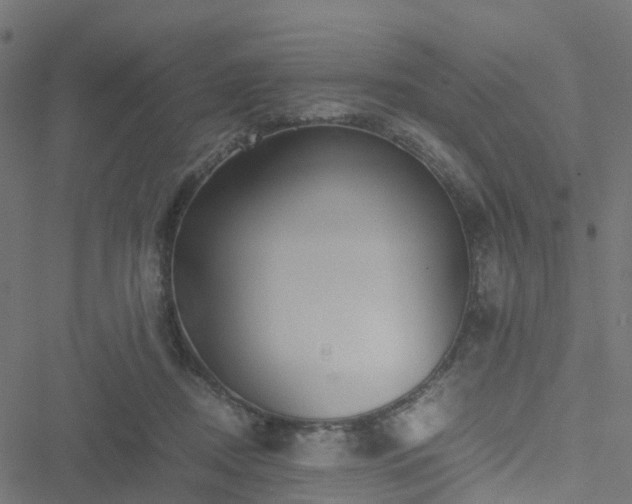 X0000051250362200506241552