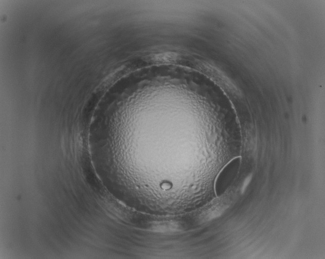 X0000051250363200506241552