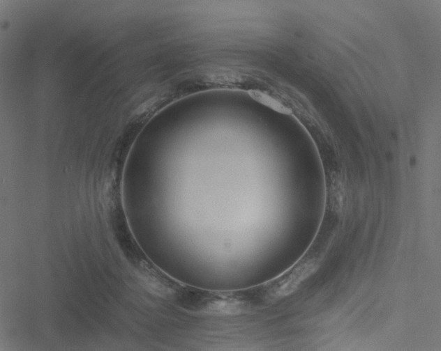 X0000051250364200506241552