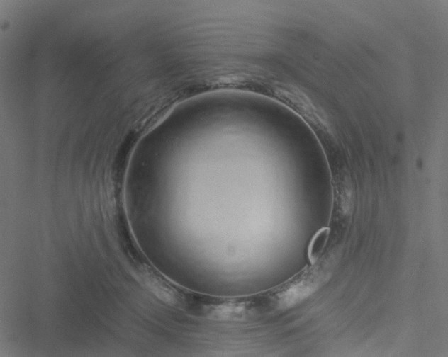 X0000051250366200506241552