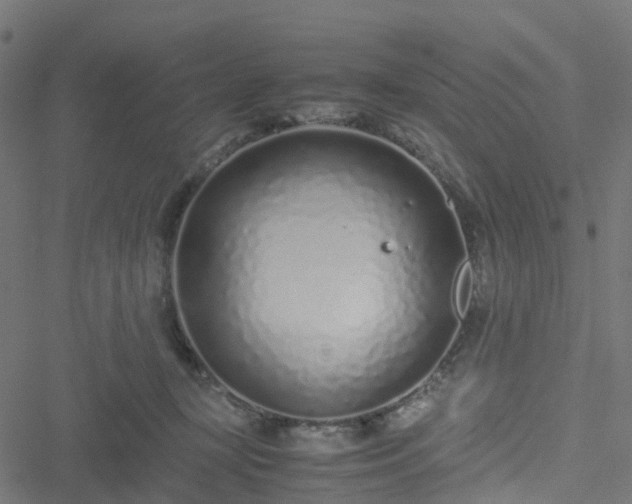 X0000051250367200506241552