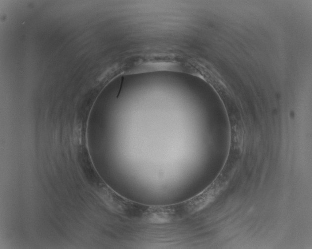 X0000051250368200506241552