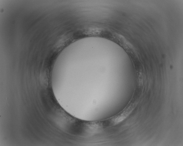 X0000051250370200506241552