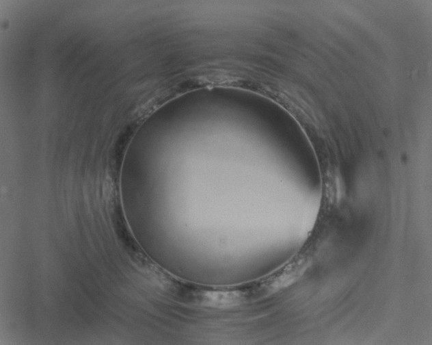 X0000051250371200506241552