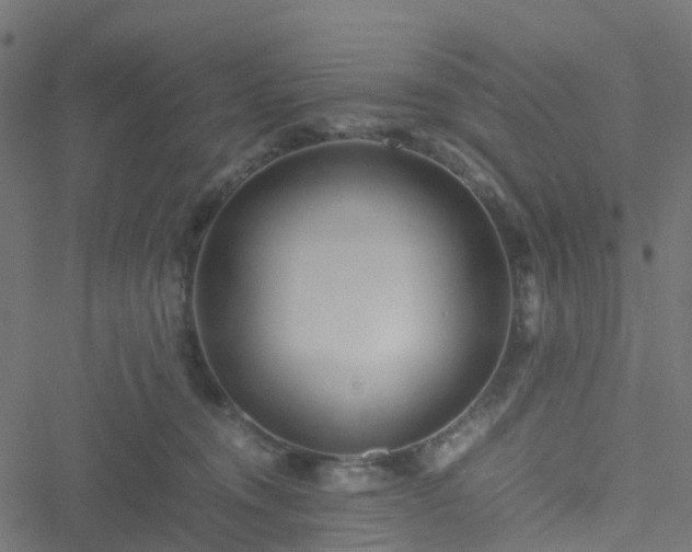 X0000051250372200506241552