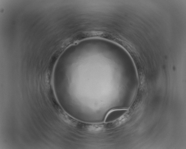 X0000051250373200506241553