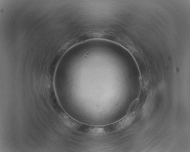 X0000051250374200506241553