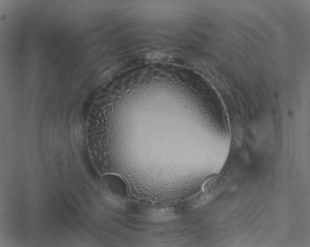 X0000051250375200506241553