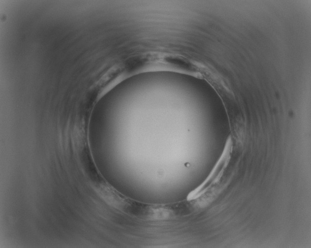 X0000051250376200506241553