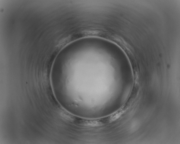 X0000051250377200506241553