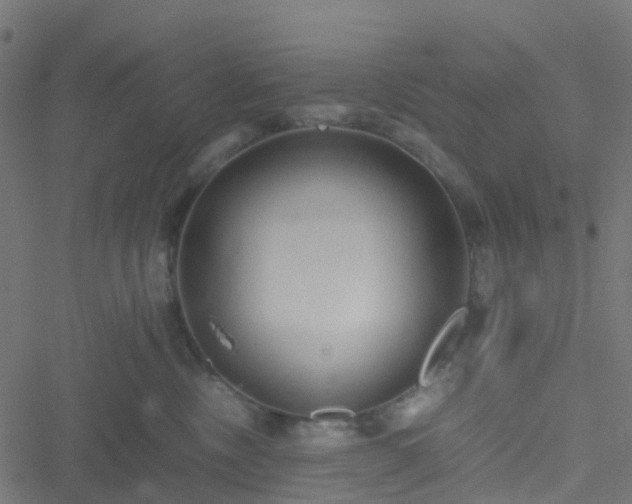 X0000051250378200506241553