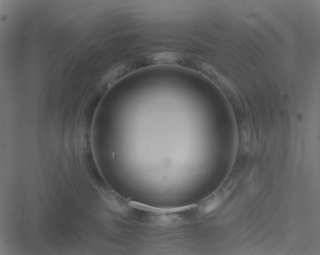 X0000051250379200506241553