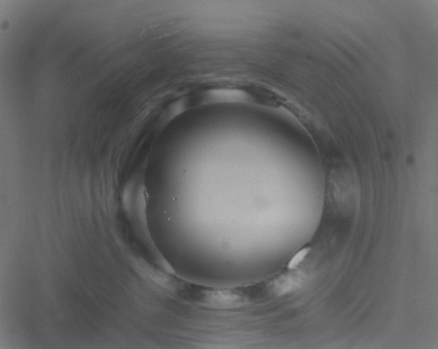 X0000051250380200506241553