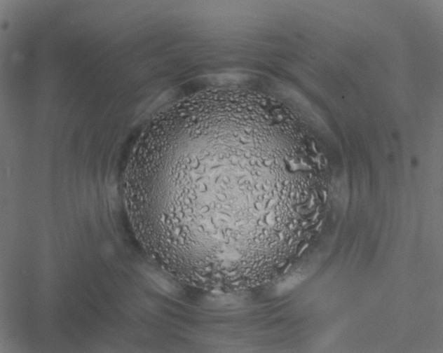 X0000051250381200506241553