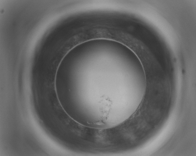 X0000051250382200506241553