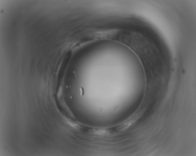 X0000051250383200506241553