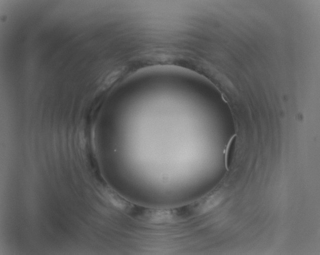 X0000051250384200506241553