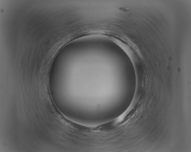 X0000051250385200506241552