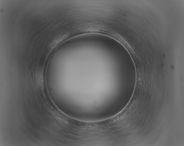 X0000051250386200506241552