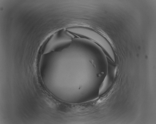 X0000051250387200506241552