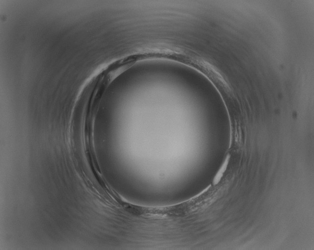 X0000051250388200506241552