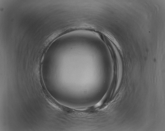 X0000051250389200506241552