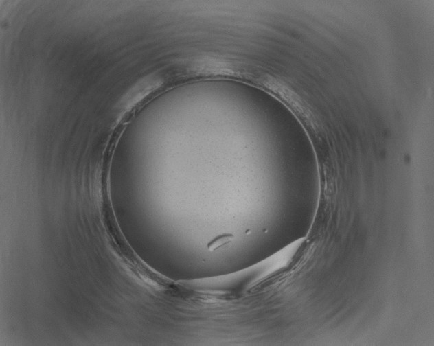 X0000051250390200506241552