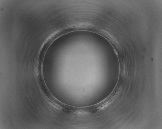 X0000051250392200506241552