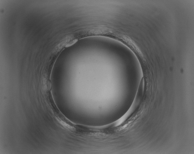 X0000051250393200506241552