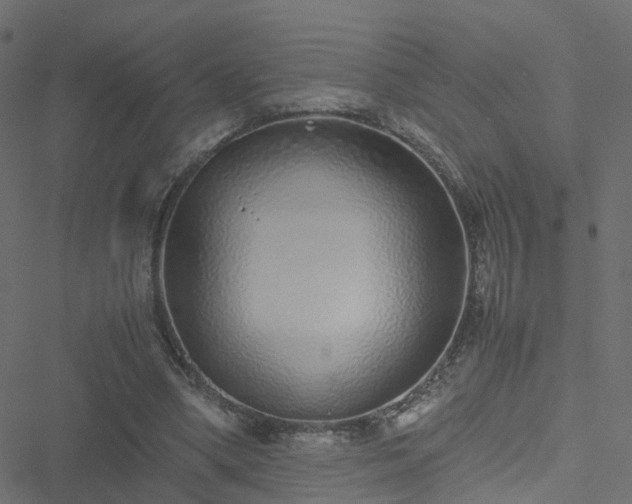 X0000051250394200506241552