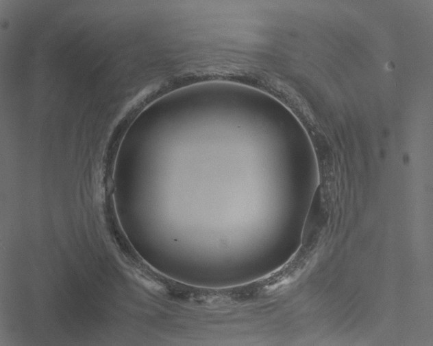 X0000051250395200506241552