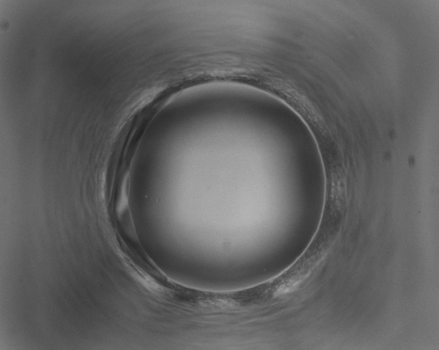 X0000051250397200506241552