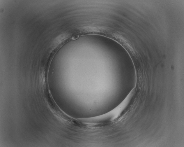 X0000051250398200506241552