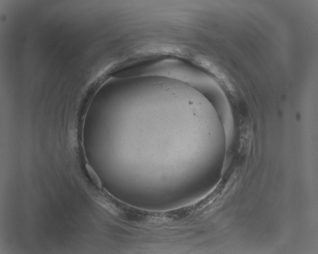 X0000051250399200506241552