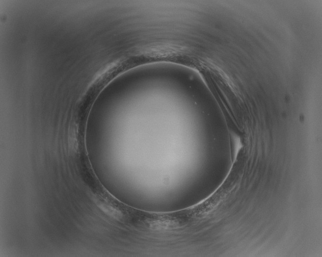 X0000051250400200506241552