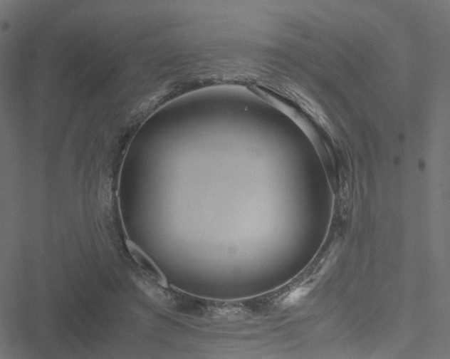 X0000051250401200506241552