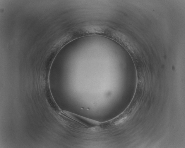 X0000051250402200506241552