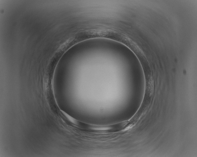 X0000051250403200506241552