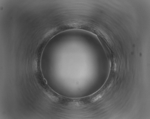 X0000051250404200506241552